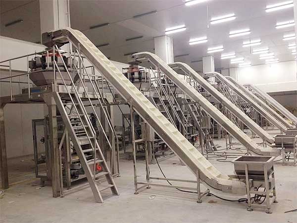 智能化全自動速凍食品草莓软件视频下载提升企業生產效率