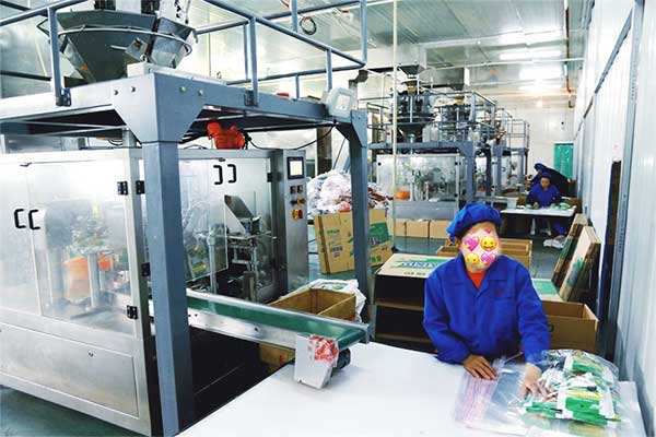 給袋式顆粒全自動草莓软件视频下载廠家